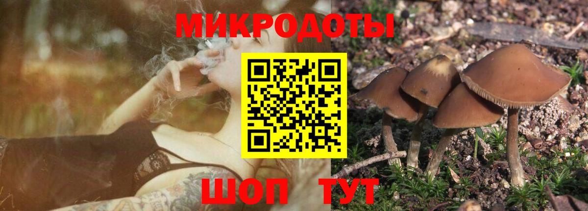 Псилоцибиновые грибы мухоморы  Вход с VPN  Нижний Тагил  Псилоцибиновые грибы прущие грибы 